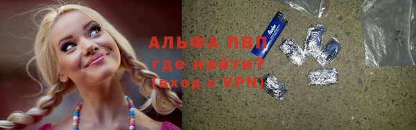 крисы Вяземский