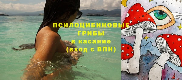 крисы Вяземский
